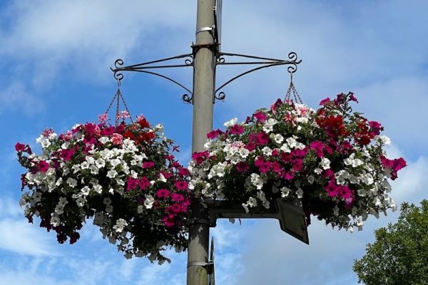 hanging baskets